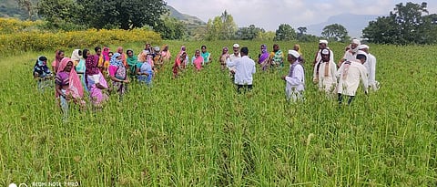 Training program on seed selection.