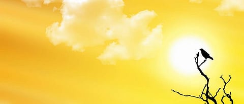  The heat wave will increase in the state