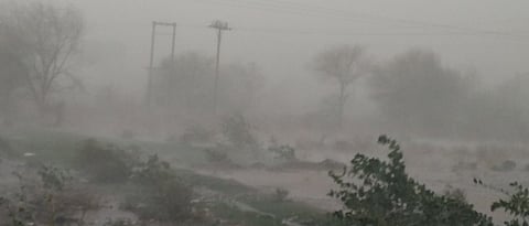Rain