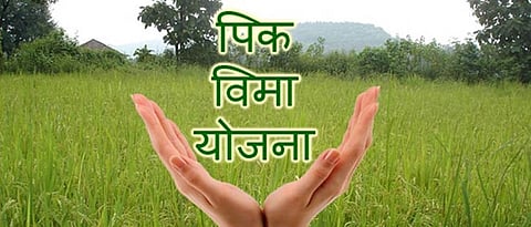 Crop Insurance 