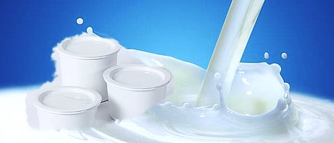  Dairy Webinar 