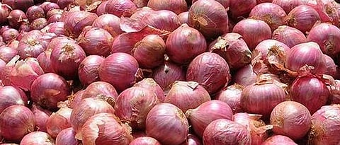 onion 