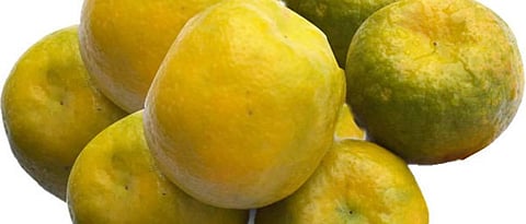 Question mark on orange blossom feet