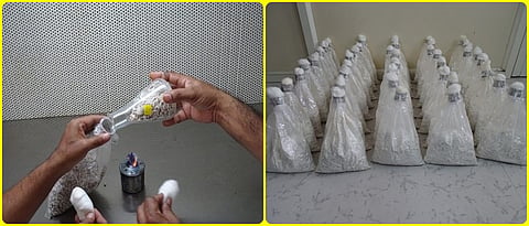 mushroom spawn production technology