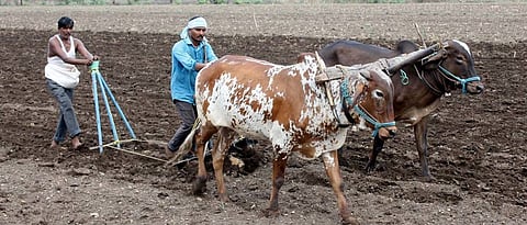 Commencement of crop loan disbursement in Nanded district