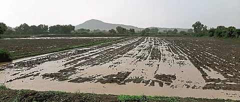 Khandesh Rain 