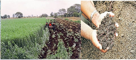 Soil Health