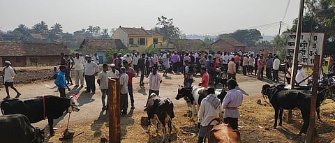  Weekly Bazaar