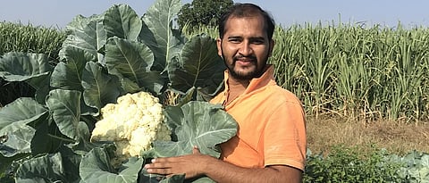 शेतीपूरक, प्रक्रिया व्यवसायातून साधली प्रगती