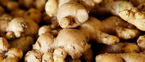 Ginger Rate