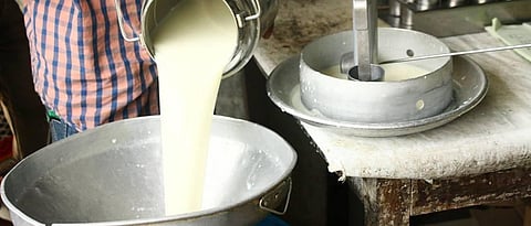 Dairy Farmer