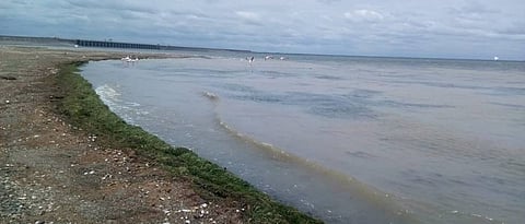 Jayakwadi Dam