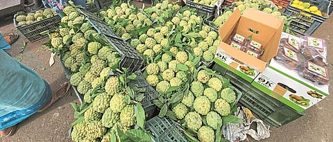 Vegetable inflows smooth in Pune; Rate fixed