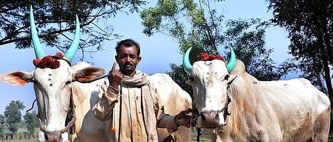 बैल पोळा सणाच्या तोंडावर बाजार सुनासुना  The market is buzzing with bullfighting
