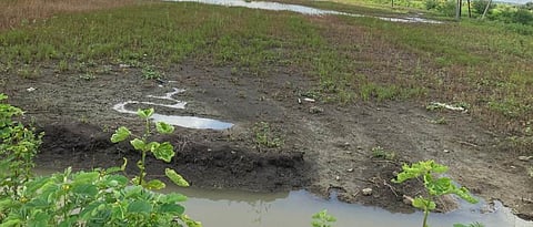 शेत जमिनी गेल्या पाण्याखाली Farm lands under water