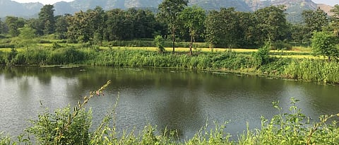 योग्य ठिकाणी पाझर तलाव केल्याने पाणी चांगल्या प्रकारे जमिनीत मुरते.