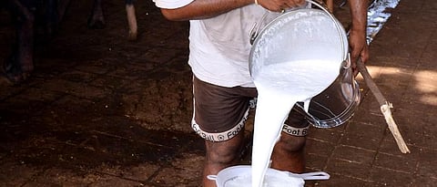Dairy Farmer