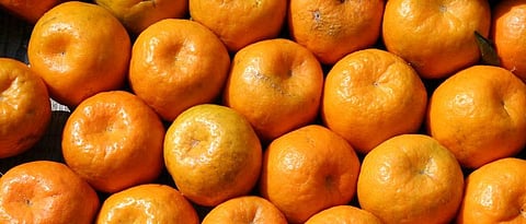 Allow sale of Nagpuri oranges at railway station: Tadas