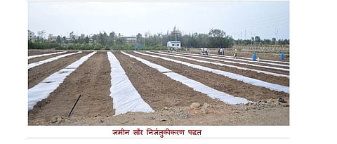 जमिनीची सौर निर्जंतुकीकरण पद्धत