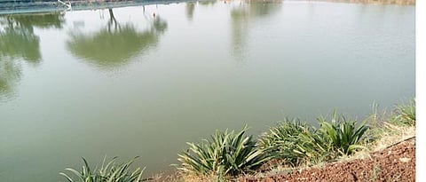 मत्स्यपालनासाठी तलावातील पाणी योग्य गुणवत्तेचे असावे.