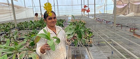 Shubhangi dalavi while showing various seedlings in the nursery