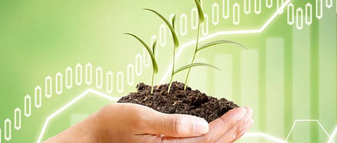 Startup Investment