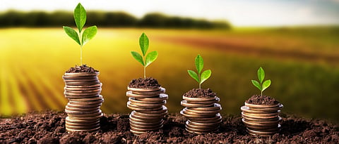  private investment in agriculture 