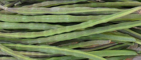 The price of sugarcane has gone up