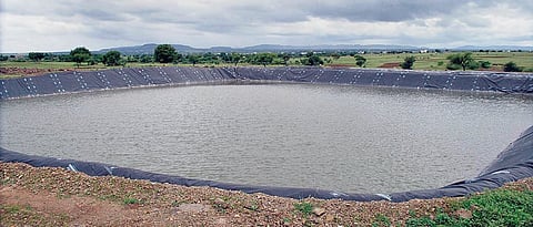 farm pond