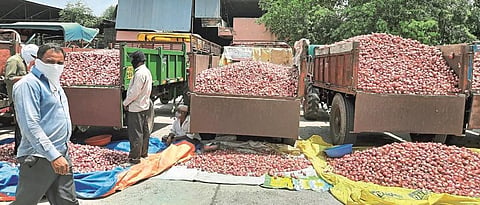 Onion Market