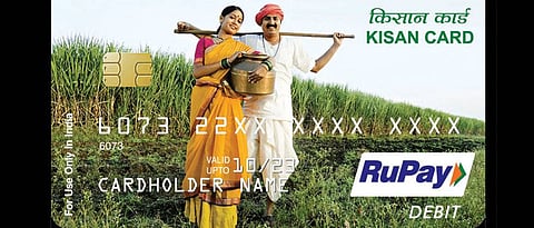 Pashu KCC 
