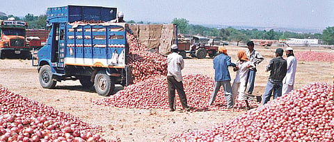 Onion subsidy