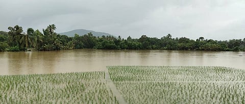sindhudurg rain 