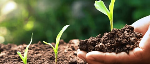 soil health  