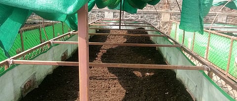 How to prepare vermicompost? 