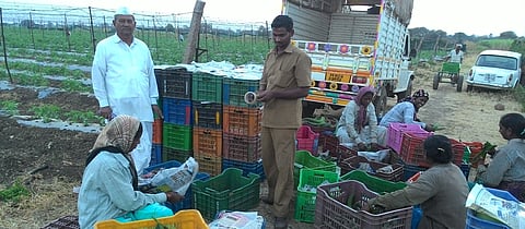 Agriculture Financial Management