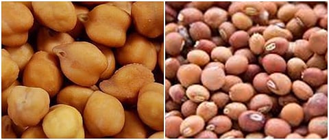अमरावती जिल्ह्यातील शेतकऱ्यांना अनुदानापोटी ६२ कोटी