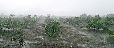 Rain Update