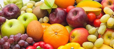 Fruit Production Export Creation State