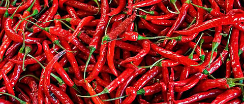 red pepper 
