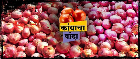 कांदा 