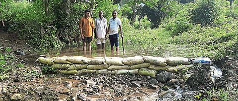 Forest Dam