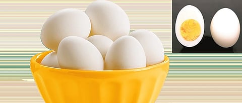 importance of egg in diet