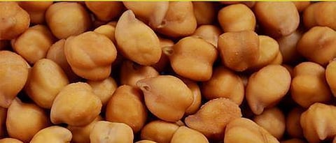 Purchase 16,000 quintals of gram at guaranteed price in Parbhani, Hingoli district