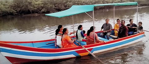 मांडवी खाडीतील कांदळवनातून पर्यटकांना सफर घडविताना स्वामिनी बचत गटाच्या महिला सदस्या.