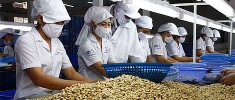 There are business opportunities in the agricultural sector