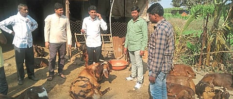 Study of farming methods by the youth of Melghat