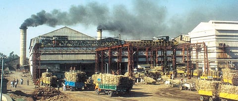 Mohol, Dist. Solapur: Two lakh tonnes of sugarcane still remains in Mohol taluka