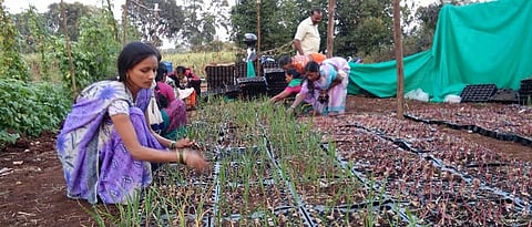 women farmers