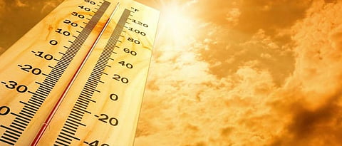 Summer Heat